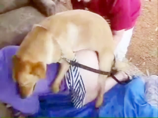 Indian Girl Animal Sex - Dripping cum while animal fuck me - Zoofilia Videos - BestialZoo