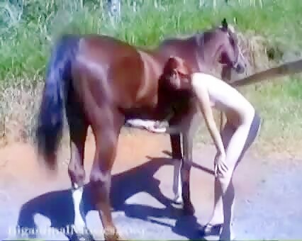 Www Gorgeous Woman Feels Like Sucking The Horse Dick - Sensual And Sexy And Ready To Suck Dick Of Horse - Bestialitylovers - Watch  Free Porn Video