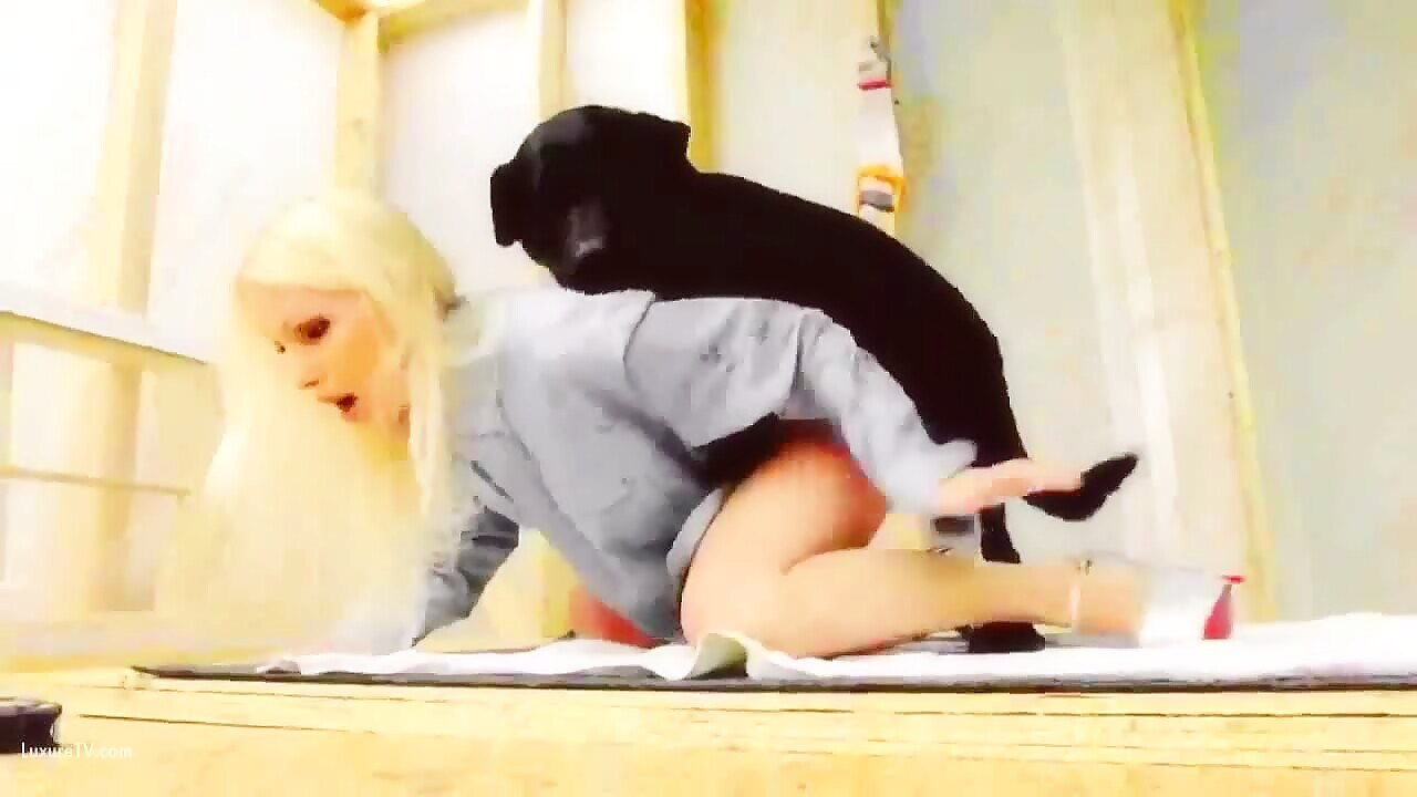 Amateur Russian And Dog For A Yummy Valentines Treat - Bestialitylovers -  Watch Free Porn Video