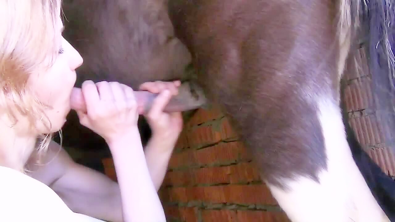 Milf Babe Russian Sucks Some Cock Of Horse-Bestialitylovers - Watch Free  Porn Video